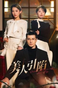 美人引陷 全集(大结局)