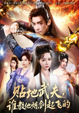 贴地武夫谁教他练剑起飞的(全集)